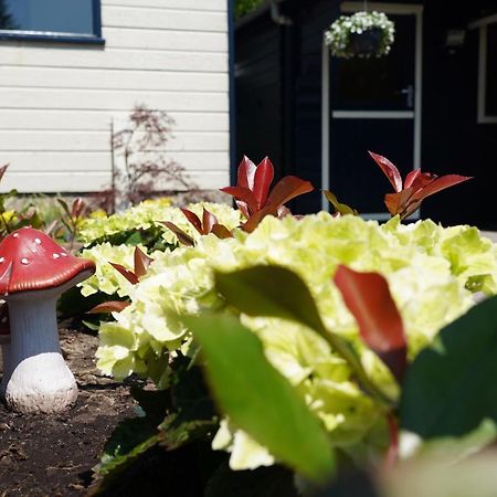 Gezellig En Relaxed Verblijf In Chalet In Putten Op De Veluwe! المظهر الخارجي الصورة